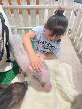 アニタッチPARKイオンモール太田に投稿された画像（2024/8/28）