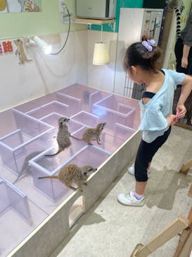 アニタッチPARKイオンモール太田に投稿された画像（2024/8/28）