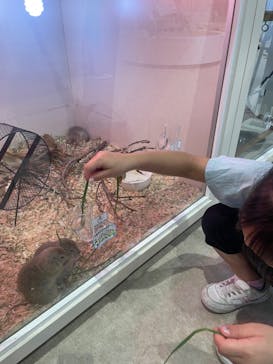 アニタッチPARKイオンモール太田に投稿された画像（2024/8/28）