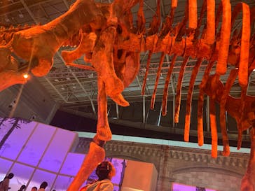 巨大恐竜展2024に投稿された画像（2024/8/28）