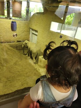 多摩動物公園に投稿された画像（2024/8/28）