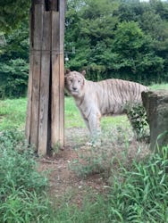 群馬サファリパークに投稿された画像（2024/8/28）