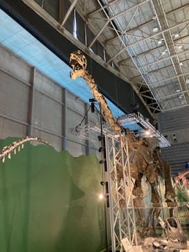 巨大恐竜展2024に投稿された画像（2024/8/28）