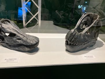 巨大恐竜展2024に投稿された画像（2024/8/28）