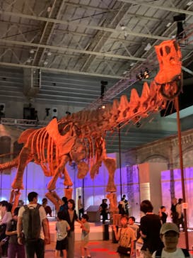 巨大恐竜展2024に投稿された画像（2024/8/28）