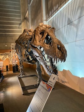 巨大恐竜展2024に投稿された画像（2024/8/28）