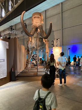 巨大恐竜展2024に投稿された画像（2024/8/28）