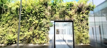 金沢21世紀美術館に投稿された画像（2024/8/28）