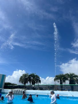 蓮沼ウォーターガーデンに投稿された画像（2024/8/28）