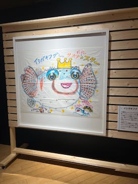 ギョギョッとサカナ★スター展　～お魚たちが教えてくれる海のこと～に投稿された画像（2024/8/28）