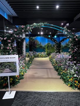 モネ＆フレンズ・アライブに投稿された画像（2024/8/28）