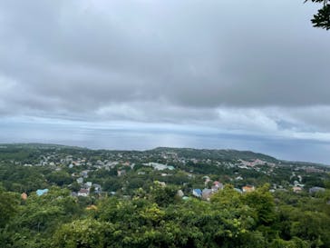 伊豆シャボテン動物公園に投稿された画像（2024/8/28）