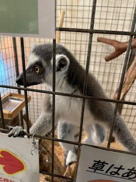 伊豆シャボテン動物公園に投稿された画像（2024/8/28）