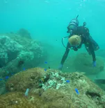 武藤潜水に投稿された画像（2024/8/28）