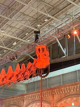 巨大恐竜展2024に投稿された画像（2024/8/28）