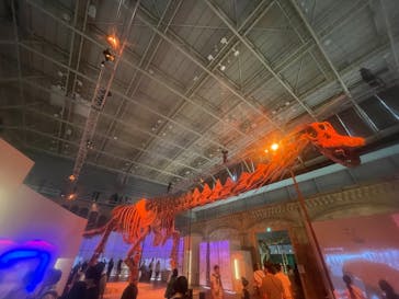 巨大恐竜展2024に投稿された画像（2024/8/28）