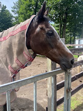 ノーザンホースパークに投稿された画像（2024/8/28）