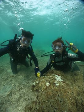 武藤潜水に投稿された画像（2024/8/28）