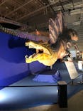 巨大恐竜展2024に投稿された画像（2024/8/28）