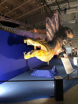 巨大恐竜展2024に投稿された画像（2024/8/28）