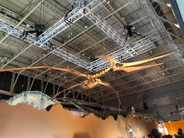 巨大恐竜展2024に投稿された画像（2024/8/28）