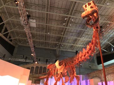 巨大恐竜展2024に投稿された画像（2024/8/28）