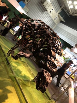 巨大恐竜展2024に投稿された画像（2024/8/28）