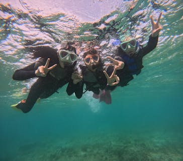 沖縄マリンサービス碧に投稿された画像（2024/8/28）