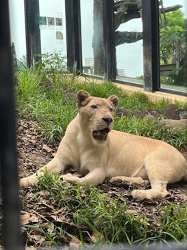 沖縄こどもの国に投稿された画像（2024/8/28）