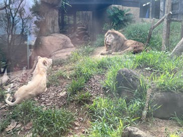 沖縄こどもの国に投稿された画像（2024/8/28）