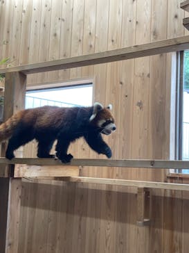 名古屋市東山動植物園に投稿された画像（2024/8/28）
