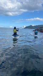 海の音色に投稿された画像（2024/8/28）