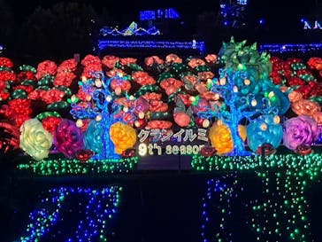 伊豆ぐらんぱる公園に投稿された画像（2024/8/28）