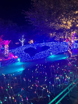 伊豆ぐらんぱる公園に投稿された画像（2024/8/28）