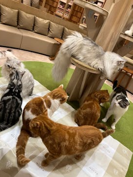 アソビュー株式会社 158638に投稿された画像（2024/8/28）