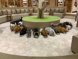 アソビュー株式会社 158638に投稿された画像（2024/8/28）