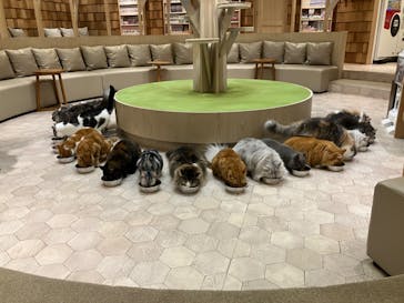 アソビュー株式会社 158638に投稿された画像（2024/8/28）