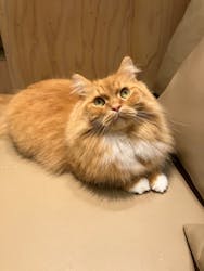 アソビュー株式会社 158638に投稿された画像（2024/8/28）