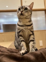 アソビュー株式会社 158638に投稿された画像（2024/8/28）