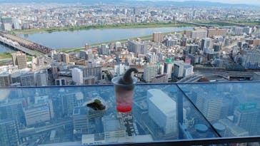 梅田スカイビル・空中庭園展望台に投稿された画像（2024/8/28）