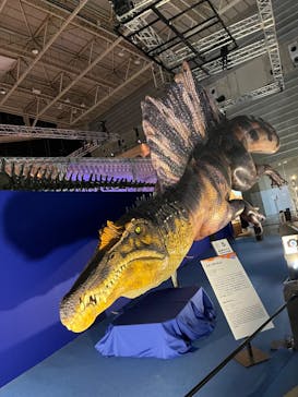 巨大恐竜展2024に投稿された画像（2024/8/28）