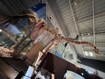 巨大恐竜展2024に投稿された画像（2024/8/28）