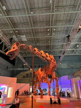 巨大恐竜展2024に投稿された画像（2024/8/28）