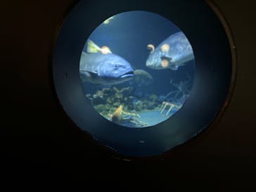 環境水族館アクアマリンふくしまに投稿された画像（2024/8/28）