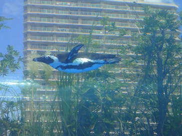 サンシャイン水族館に投稿された画像（2024/8/28）