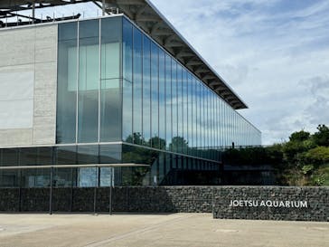 上越市立水族博物館 うみがたりに投稿された画像（2024/8/28）