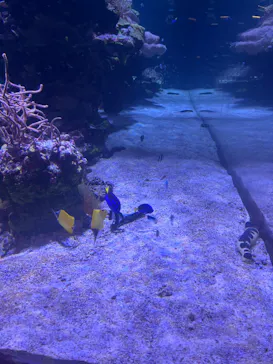 すみだ水族館に投稿された画像（2024/8/28）