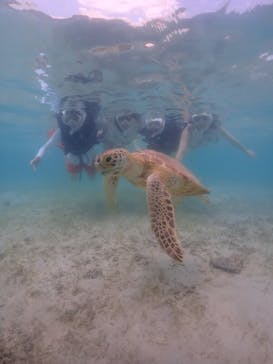 元気玉に投稿された画像（2024/8/28）