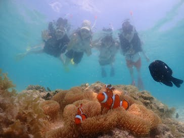 元気玉に投稿された画像（2024/8/28）