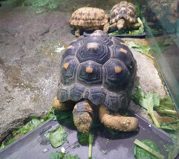 サンシャイン水族館に投稿された画像（2024/8/28）